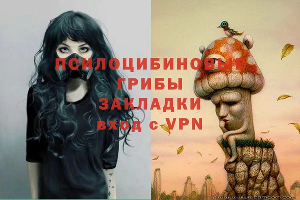 ешки Нязепетровск