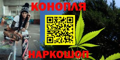 спиды Новодвинск