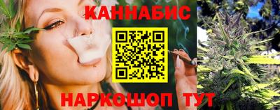 спиды Новодвинск