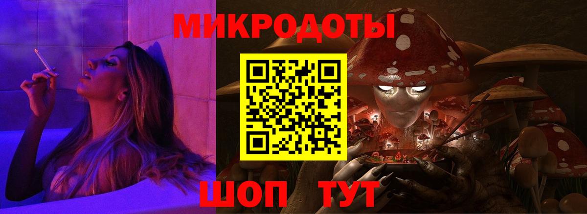 Псилоцибиновые грибы Psilocybine cubensis Ялуторовск